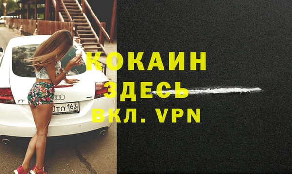 МДПВ Алексин