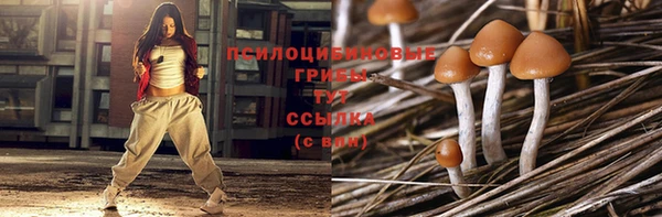 МДПВ Алексин