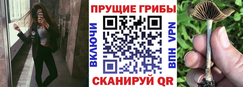 Галлюциногенные грибы GOLDEN TEACHER  Гагарин 