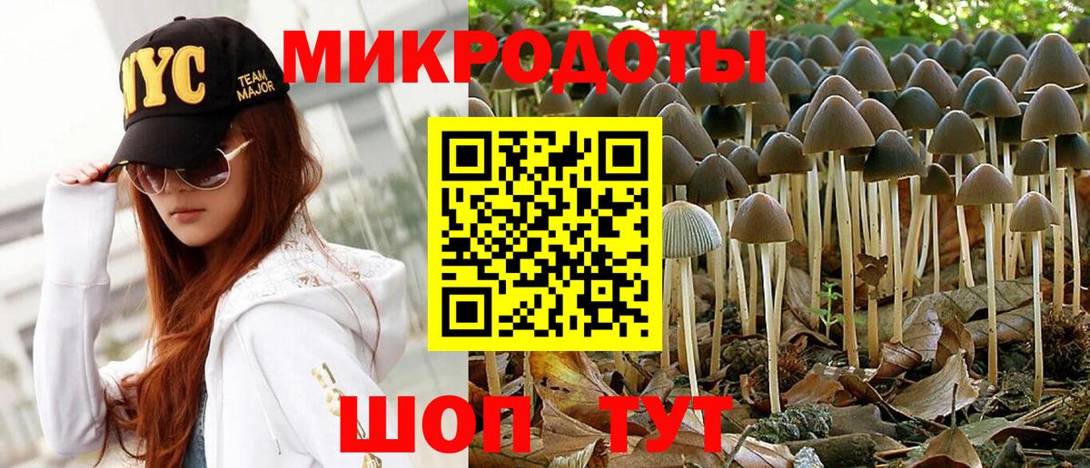 Псилоцибиновые грибы мицелий  Вход с VPN  Псилоцибиновые грибы Magic Shrooms  Гагарин 