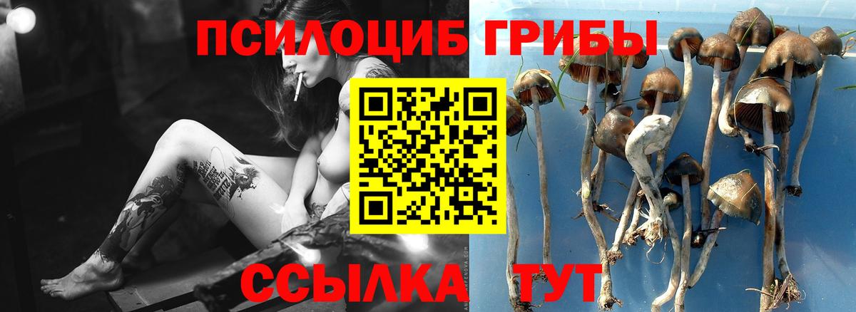 Псилоцибиновые грибы Magic Shrooms  Вход с VPN  Гагарин  Псилоцибиновые грибы мухоморы 