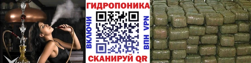 Бошки марихуана SATIVA & INDICA  купить закладку  Гагарин 